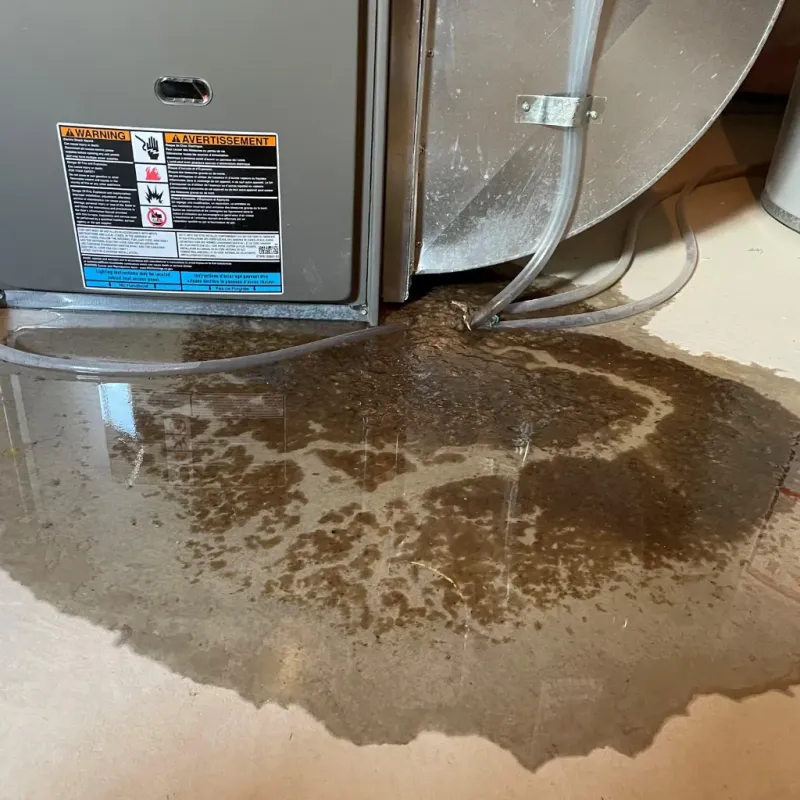 Appliance Leak Cleanup in Kingwood, WV