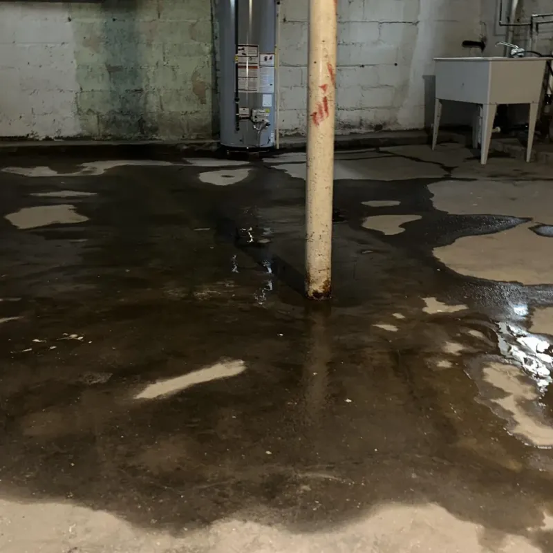 Emergency Water Extraction And Removal in Kingwood, WV